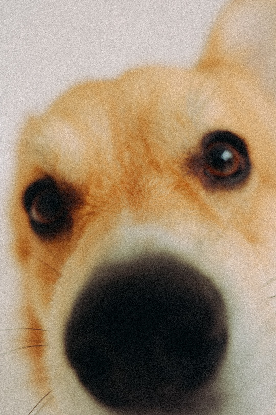 Family. Фотограф Нижний Новгород