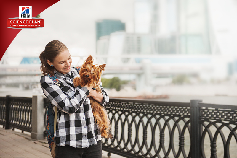 Фотосъёмка для компании Hill`s (2017, перенос со старого сайта). Фотограф собак, фотограф-анималист Аня Титова (Titanya). Москва