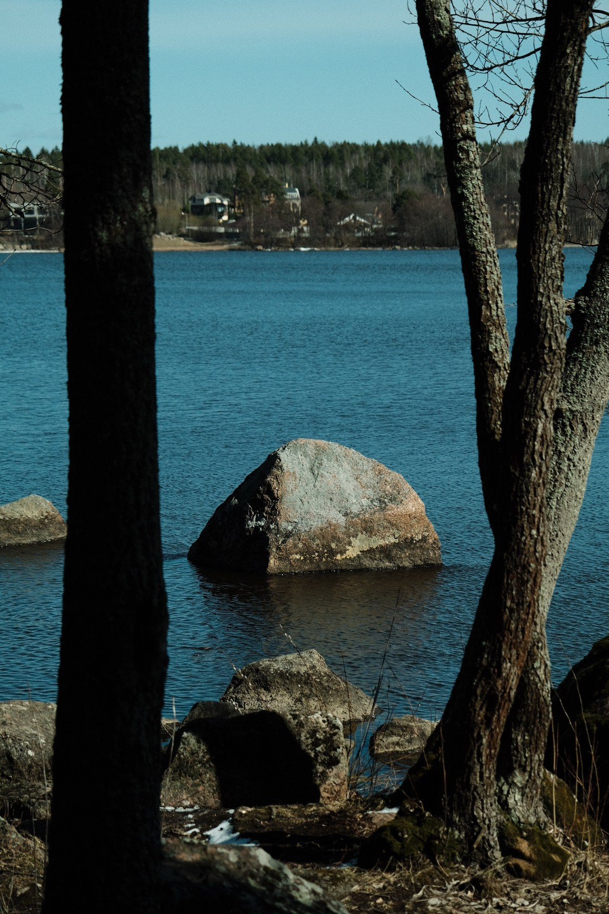 Парк Монрепо. Апрель 2025