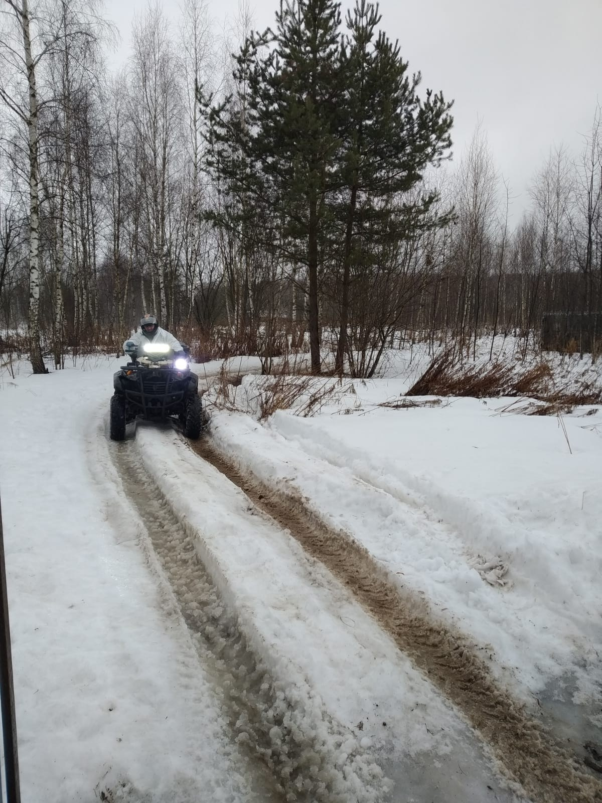 Квадрики | 24.03.24. Галерея Фантим