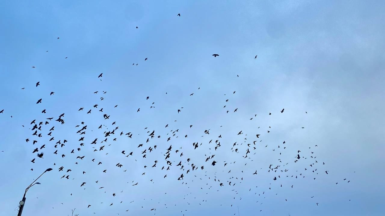 Александров. Экскурсионная поездка | 09.11.2024. Галерея Фантим