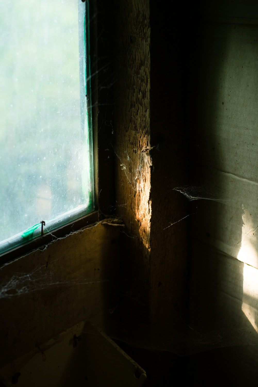 Summer Recurrences. Пётр Антонов