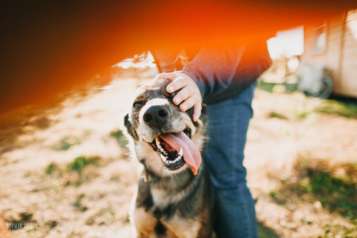 Теплые. Соня Черных (sophieblack)