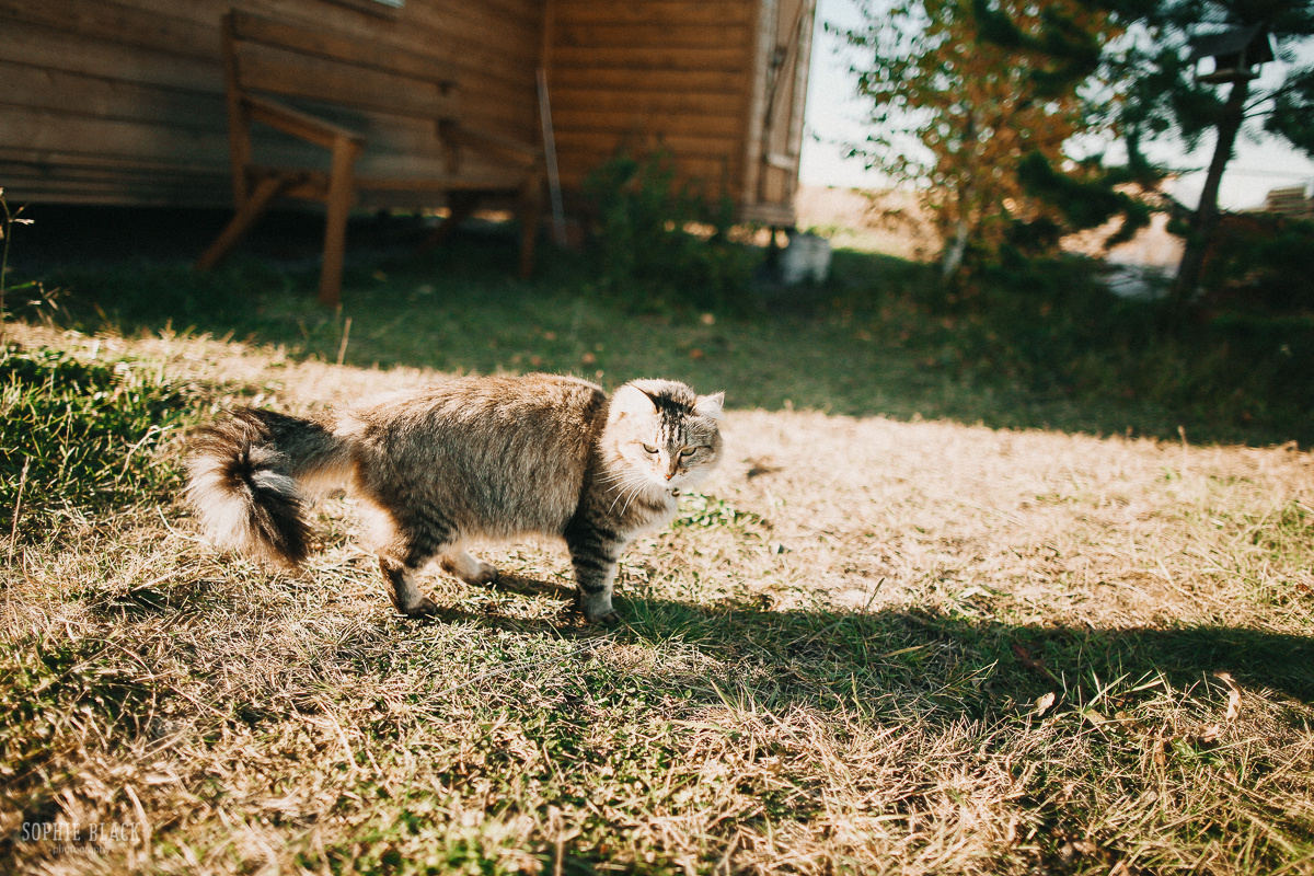 Теплые. Соня Черных (sophieblack)