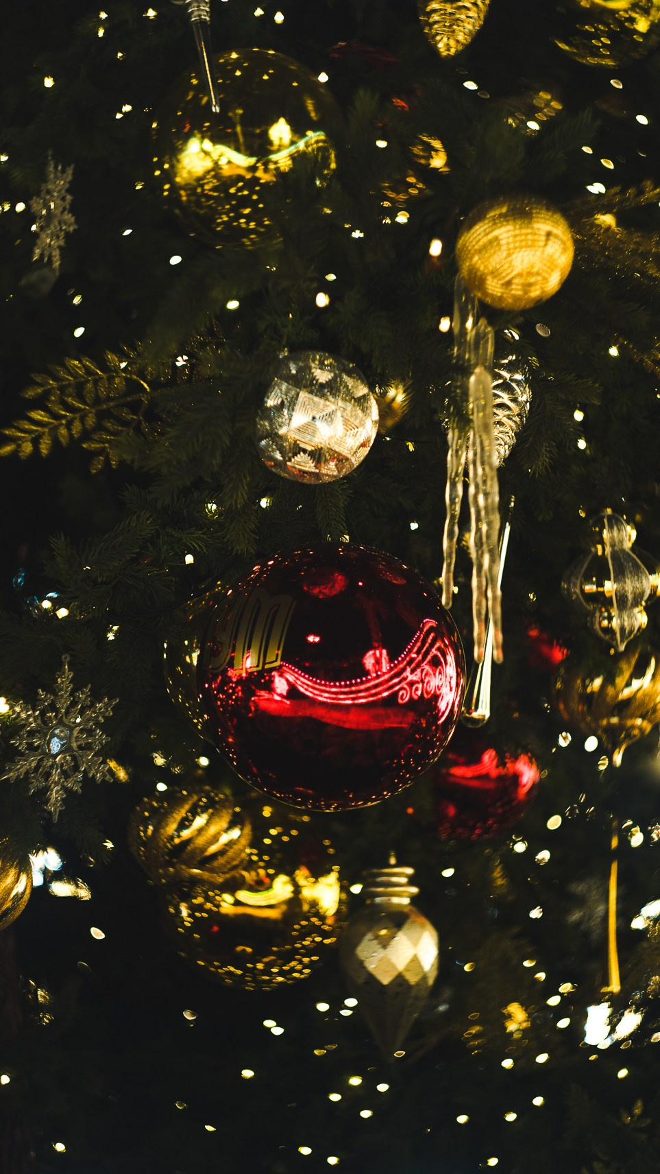 Москва. Ноябрь. 2024. Фотограф в Сочи Елена Лисотина. Фототуры в Сочи