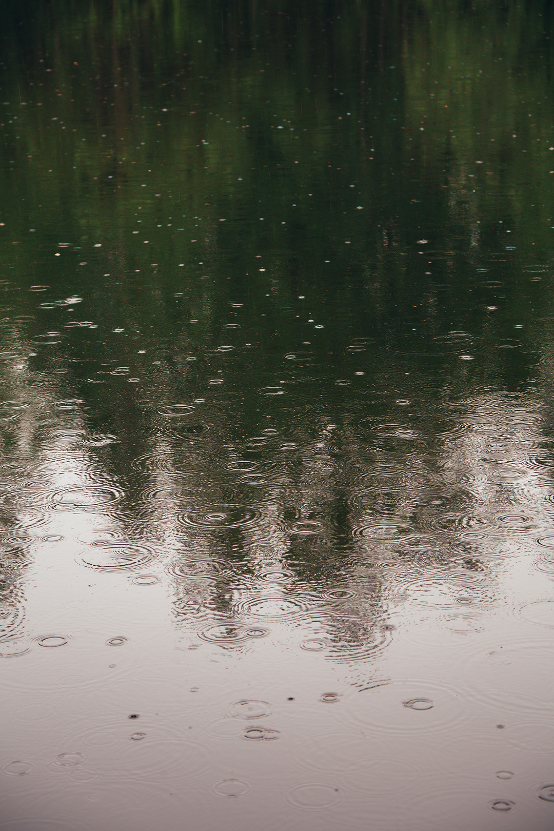 Виктория. Репортажный, семейный фотограф из Нефтеюганска