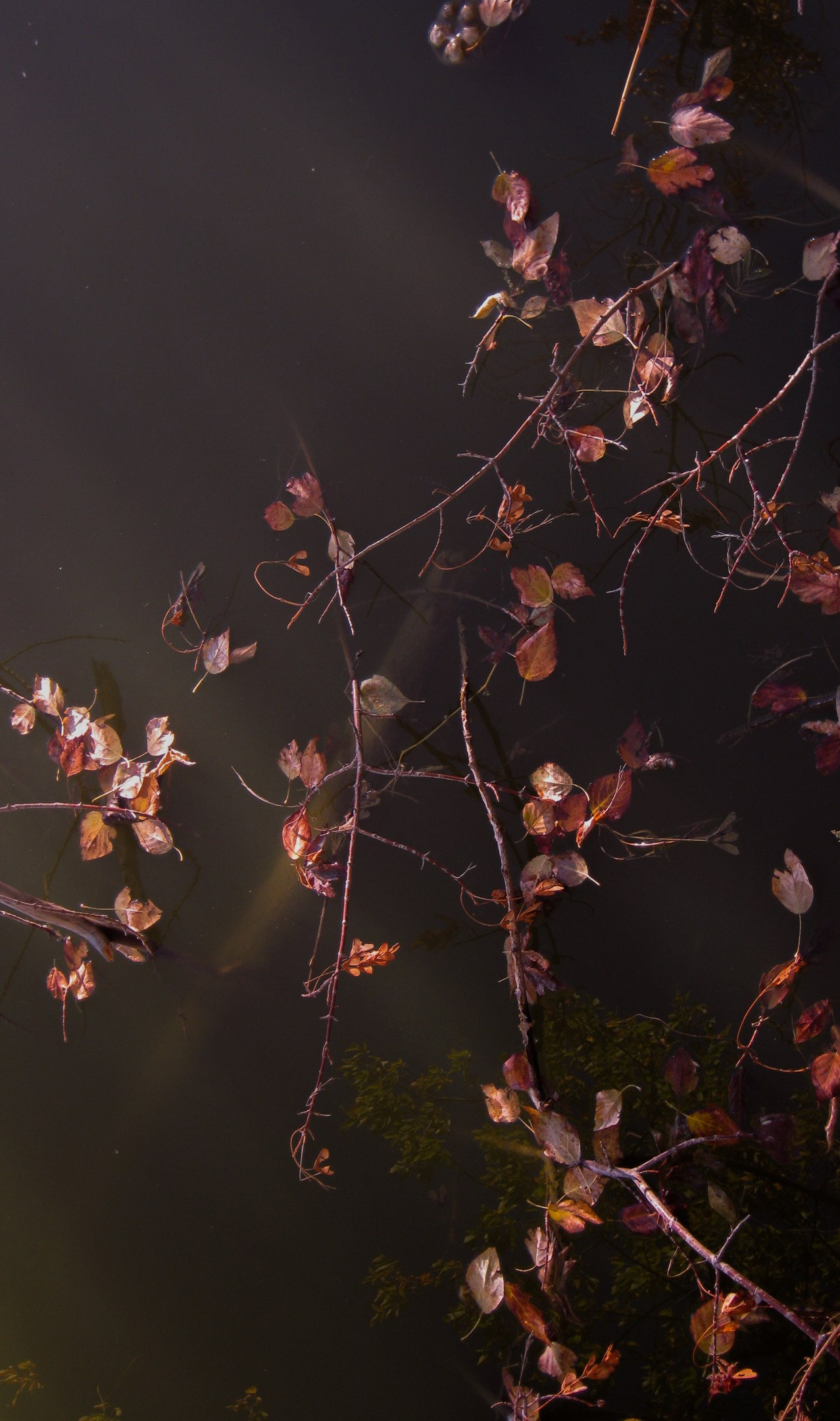 И вокруг меня. Портретный и концертный фотограф в Санкт-Петербурге Егор Телятников