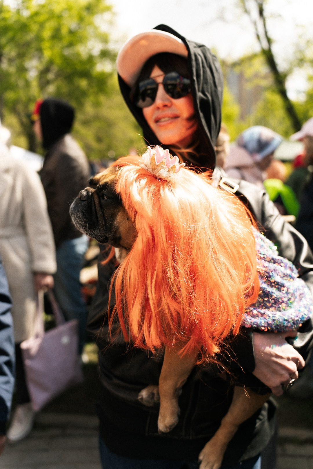 Парад Бульдогов. Axenov_eugene