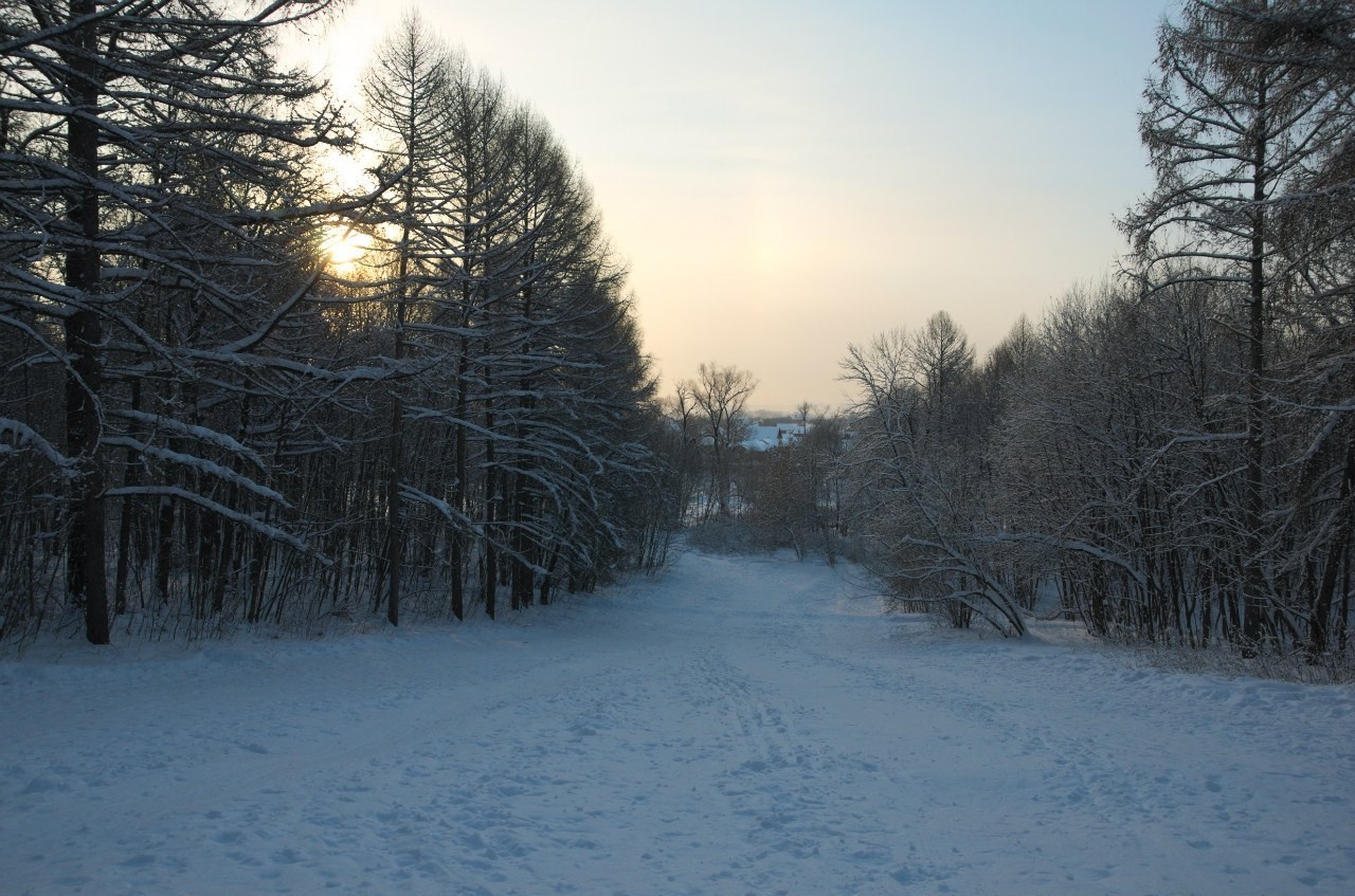 Быково и Гжель | 24.01.2016. Галерея Фантим