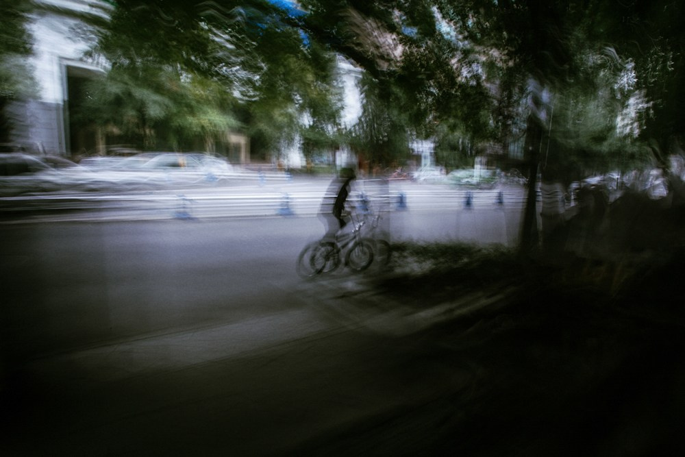 Lifestyle. Bivol images