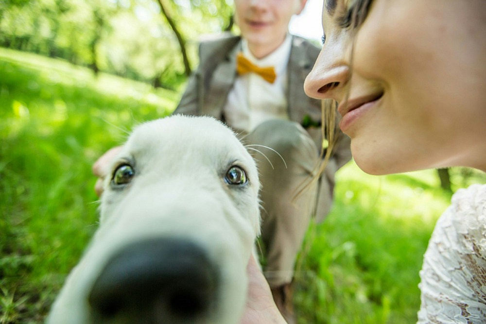 Свадебное. Фотограф Александр Ямпольский