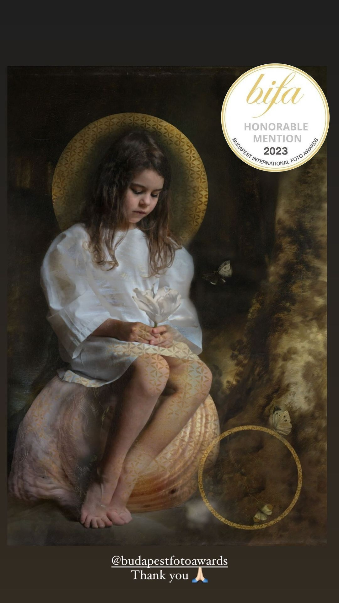 ARTIST STATEMENT & CV. HOME