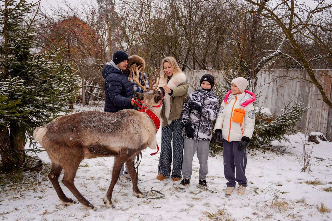 Отзывы. Обо мне