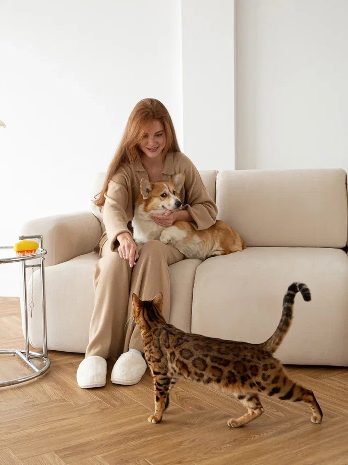 ТОВАРЫ ДЛЯ ЖИВОТНЫХ. CONTENT MAKING — агентство № 1 в предметной съемке для маркетплейсов