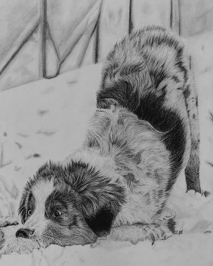 Финч Татьяна Николаевна. Галерея участников Российской Премии Искусств