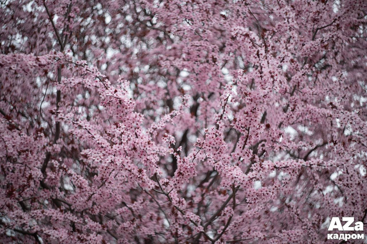 AZакадром «Что для меня дом». Женский семейный фотограф Тула Москва Захарова Анна
