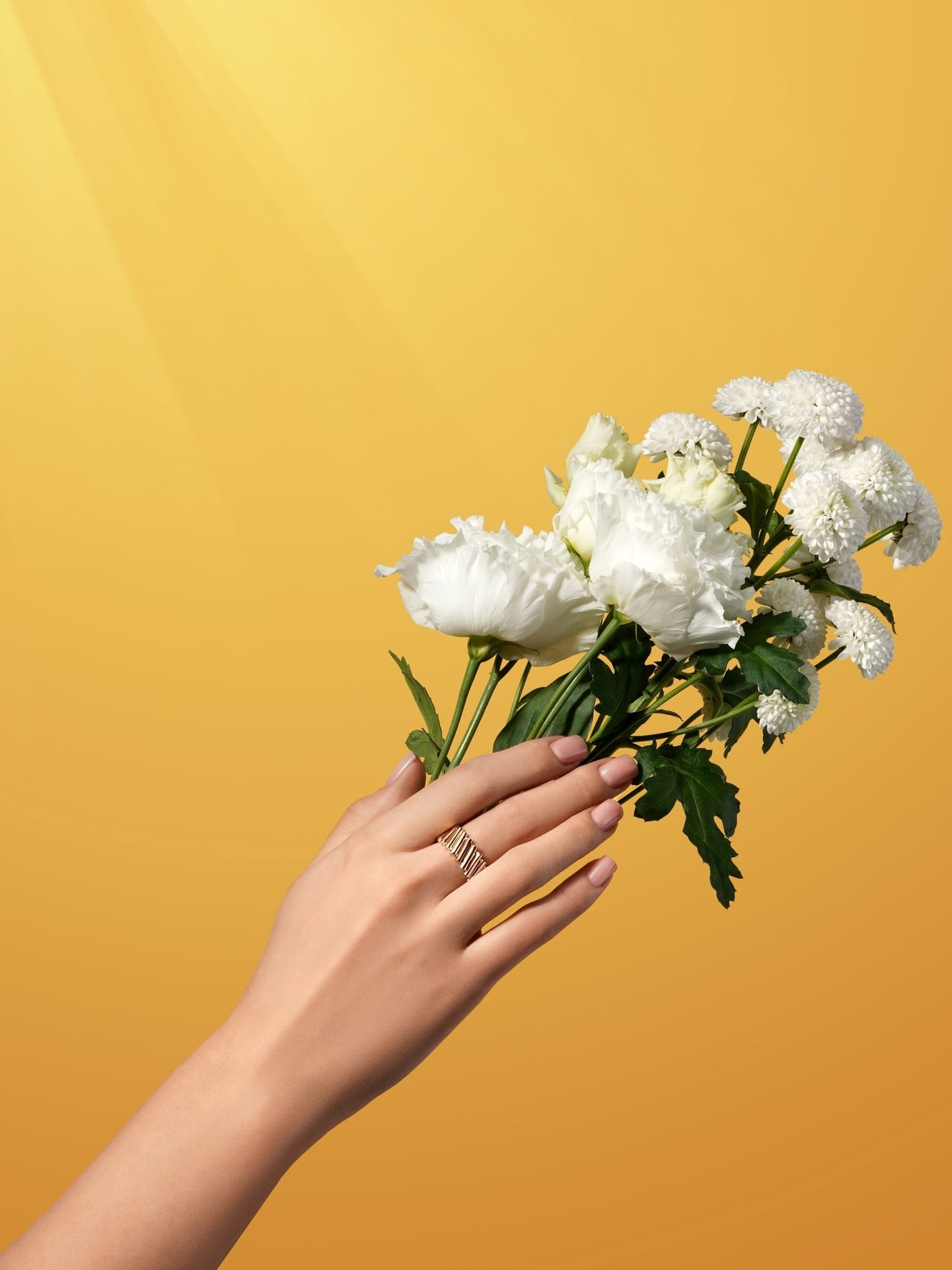 Фотограф ювелирных изделий и бижутерии в Кирове. Предметный фотограф Киров. Съемка для маркетплейсов