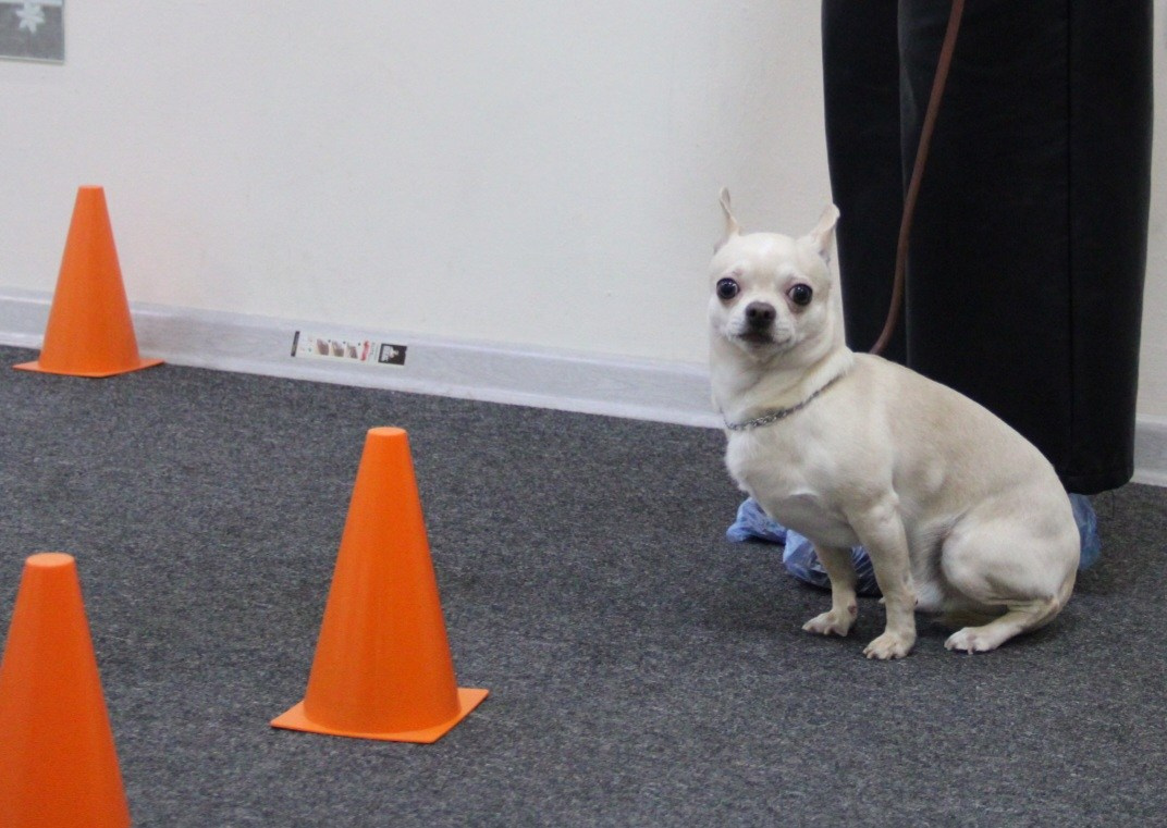 Репортаж УС «ДЦ Ральф». Катя Попова|ЛайфСтайл фотограф