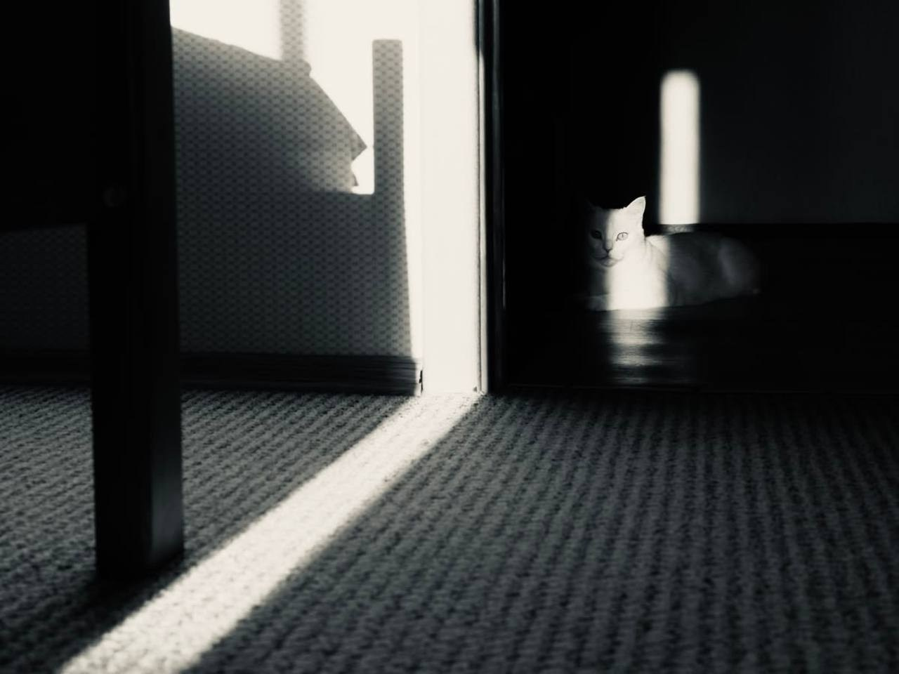 Марафон «Другая сторона света». Женский семейный фотограф Тула Москва Захарова Анна