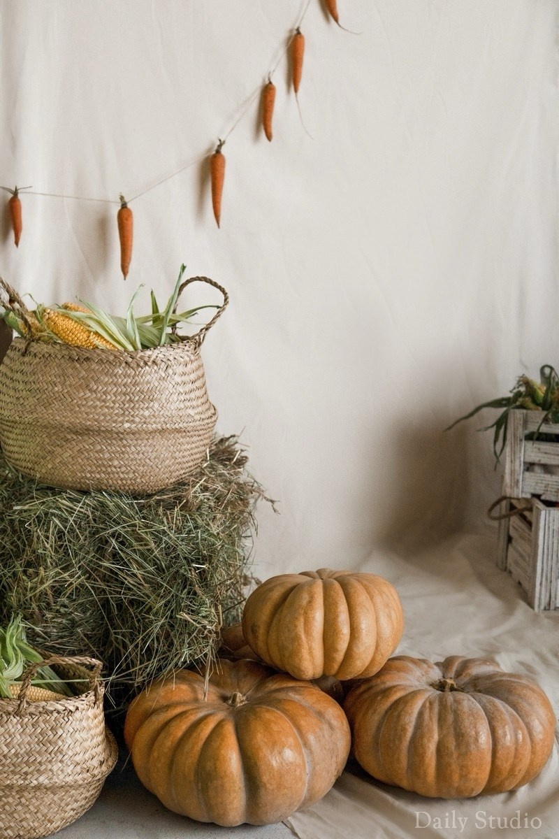 Осенняя фотосессия с кроликами в фотостудии. Фотограф в Санкт-Петербурге, Анна Скворцова