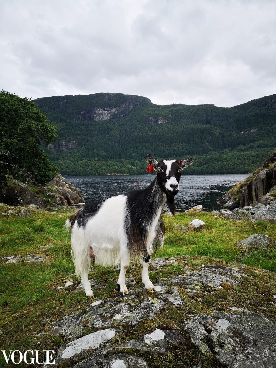 Vogue и другие. Наталия Фролова. Фотограф. Москва