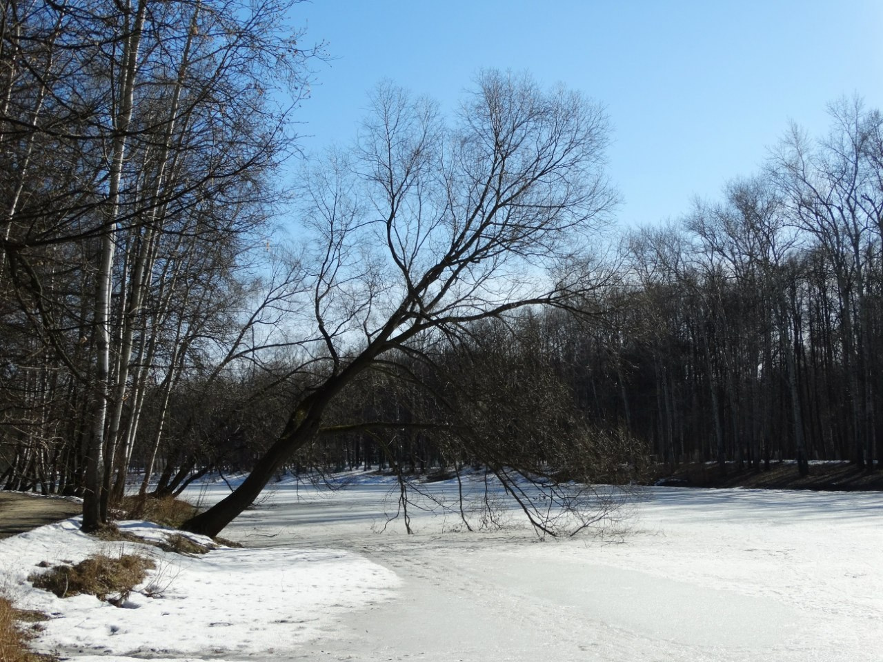 Люди в белом | 14-15.03.2015. Галерея Фантим