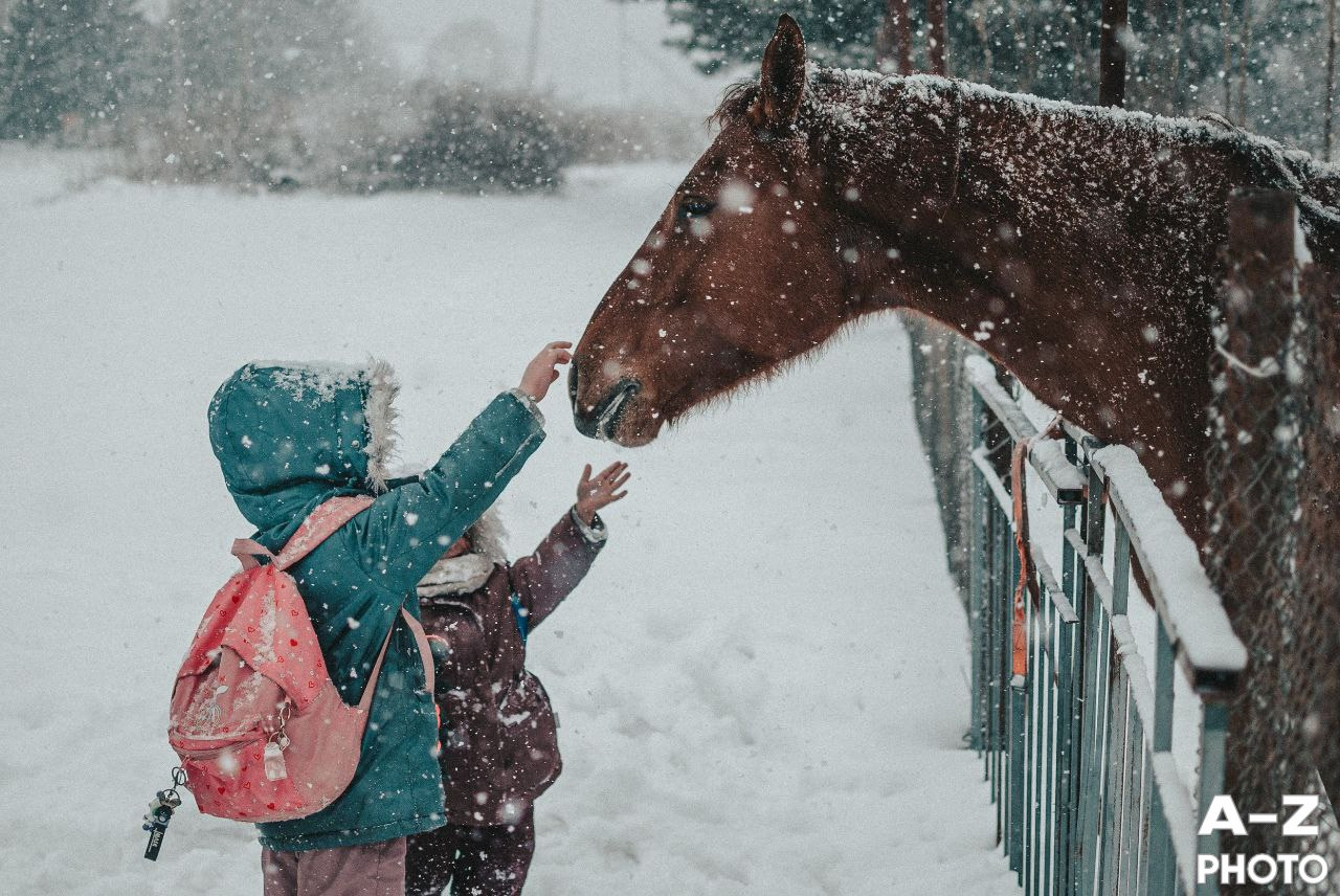 #ФОТОНЕДЕЛИ 12.01.2026. Женский семейный фотограф Тула Москва Захарова Анна