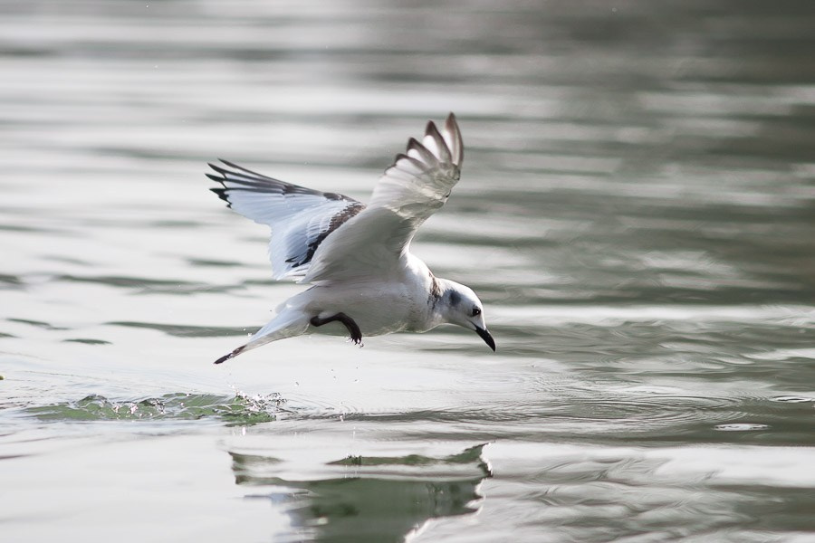 Street art. Фотостудия Алматы. Фотосъемка Алматы. Фотосессия Алматы. Фотокурсы. Обучение фотографии. Аренда студии