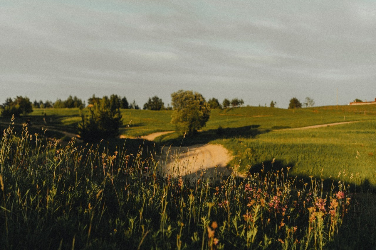 Отзывы. Свадебный и семейный фотограф в Санкт-Петербурге Алёна Никитина