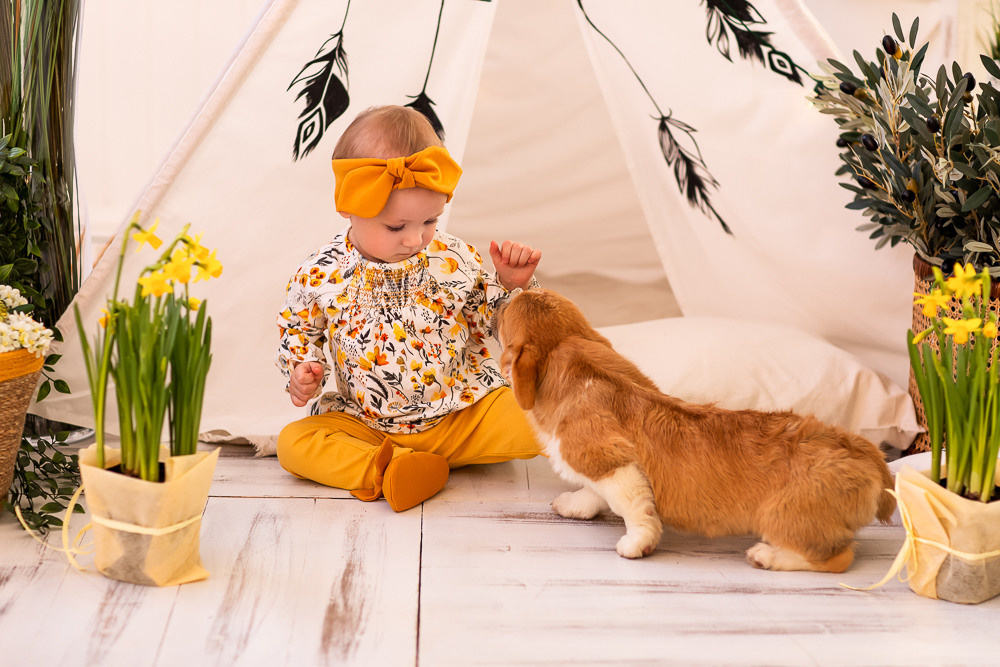 С щенками. Семейный фотограф в Донецке Елена Горбатенко