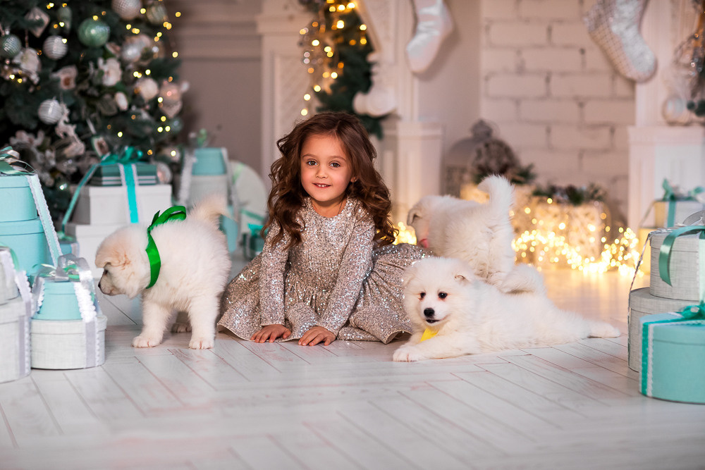 С щенками. Семейный фотограф в Донецке Елена Горбатенко