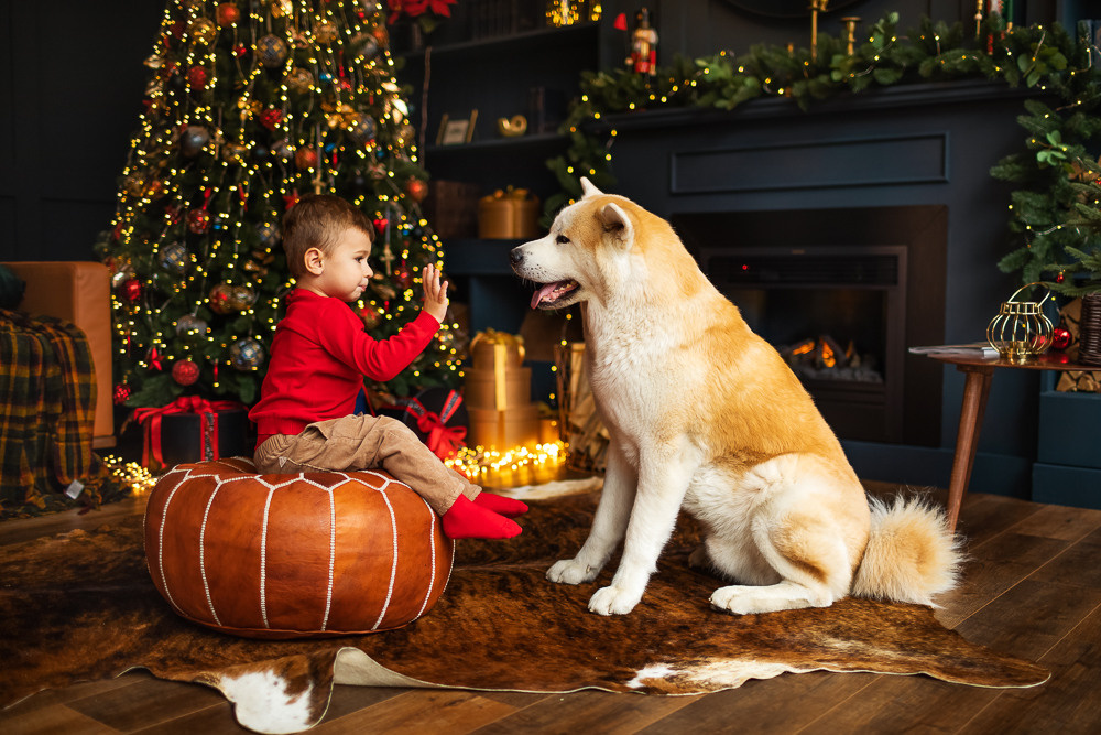 С щенками. Семейный фотограф в Донецке Елена Горбатенко