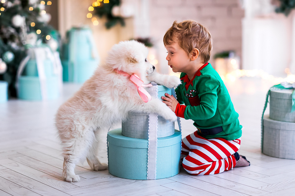 С щенками. Семейный фотограф в Донецке Елена Горбатенко