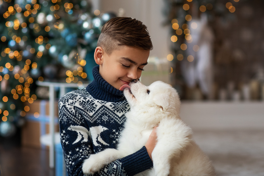 С щенками. Семейный фотограф в Донецке Елена Горбатенко