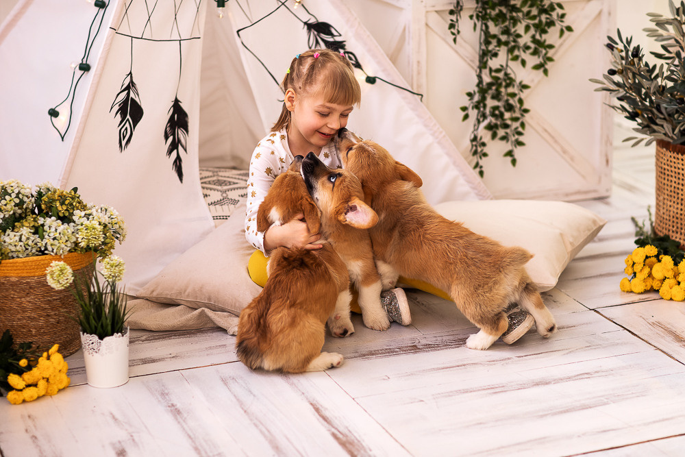 С щенками. Семейный фотограф в Донецке Елена Горбатенко
