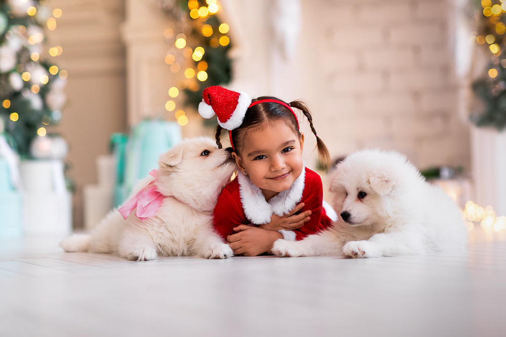 С щенками. Семейный фотограф в Донецке Елена Горбатенко