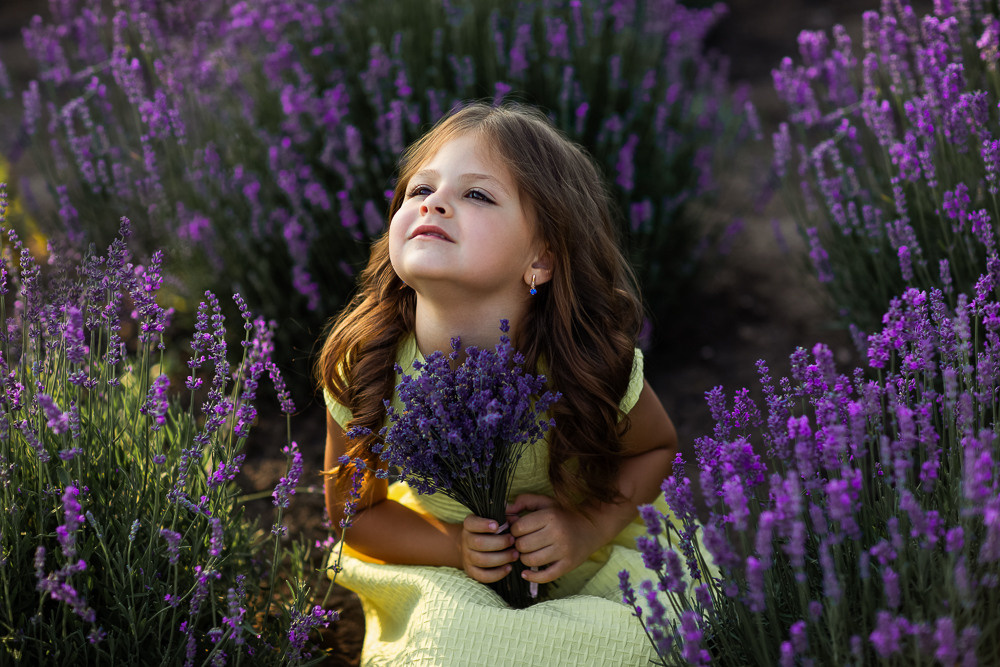 Лаванда. Семейный фотограф в Донецке Елена Горбатенко
