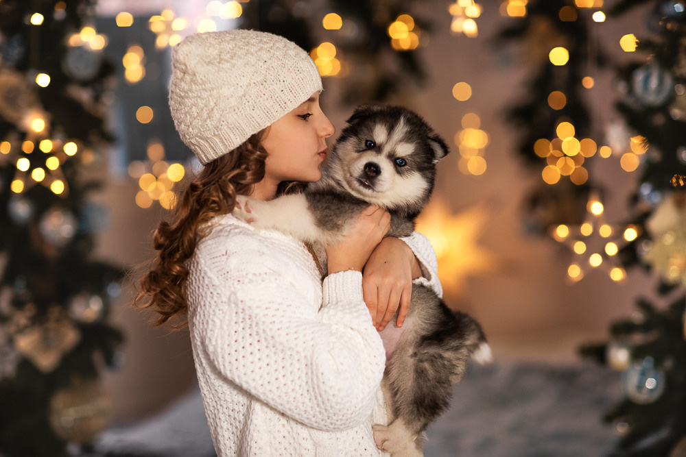 С щенками. Семейный фотограф в Донецке Елена Горбатенко
