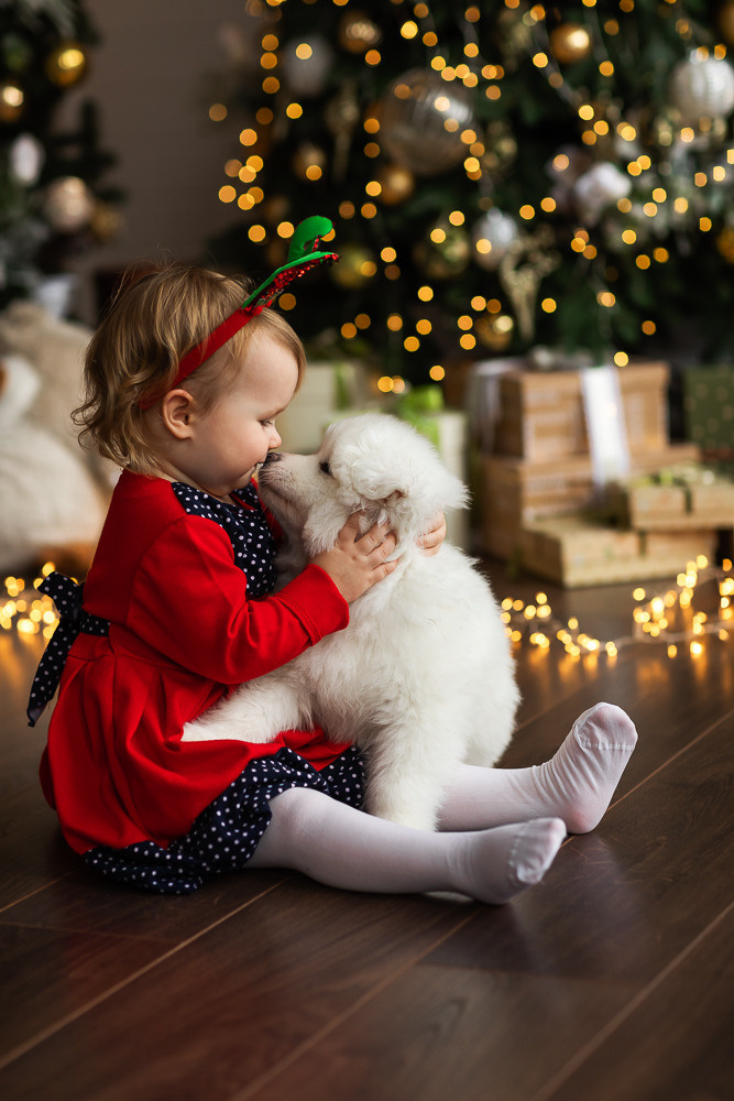 С щенками. Семейный фотограф в Донецке Елена Горбатенко