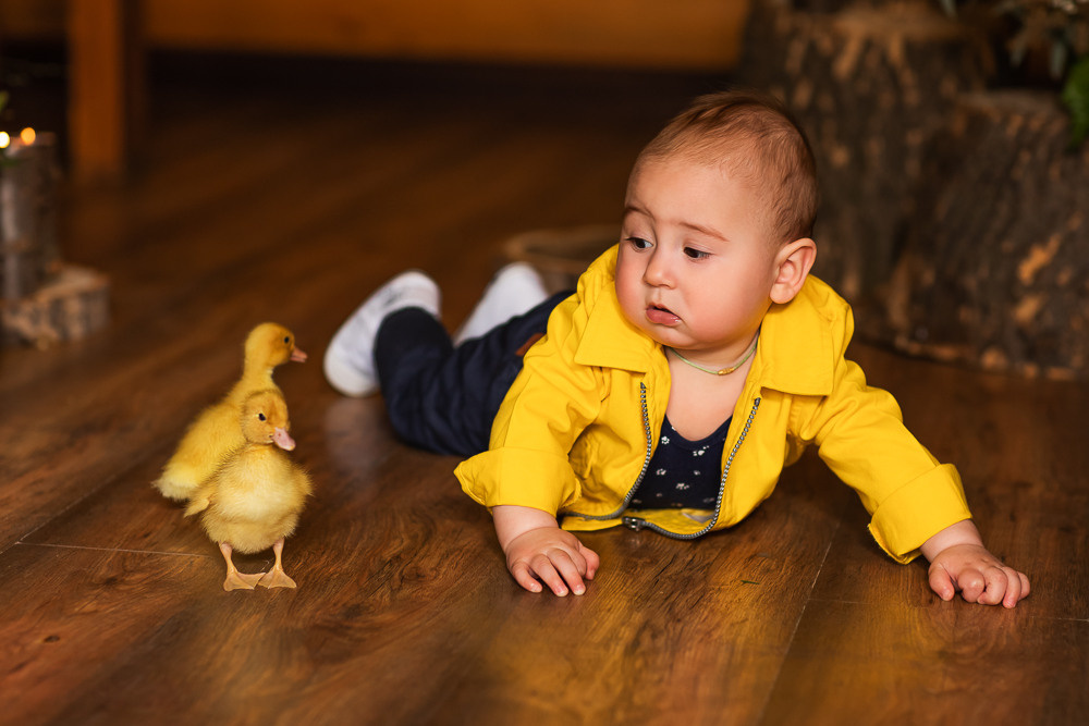 С утятами. Семейный фотограф в Донецке Елена Горбатенко