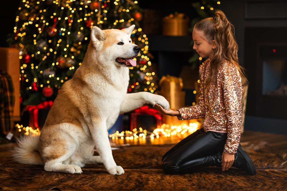 С щенками. Семейный фотограф в Донецке Елена Горбатенко