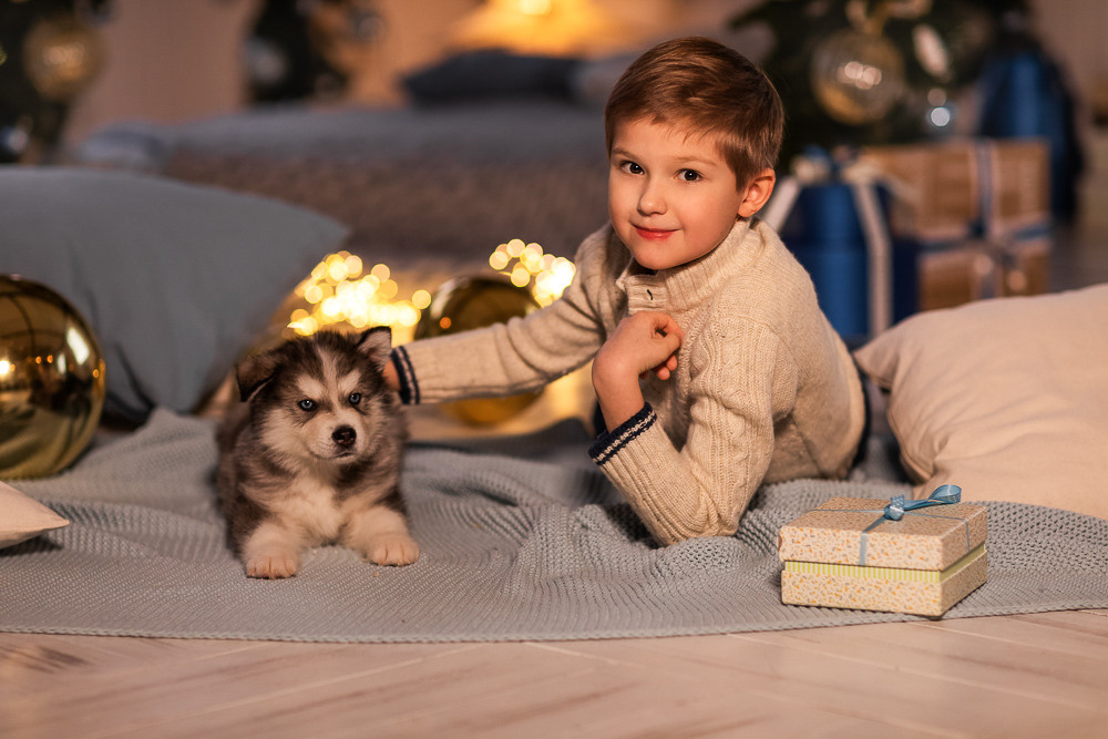 С щенками. Семейный фотограф в Донецке Елена Горбатенко