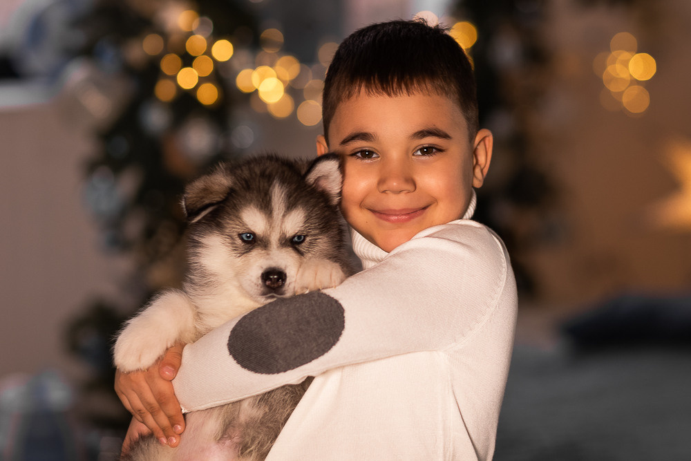С щенками. Семейный фотограф в Донецке Елена Горбатенко