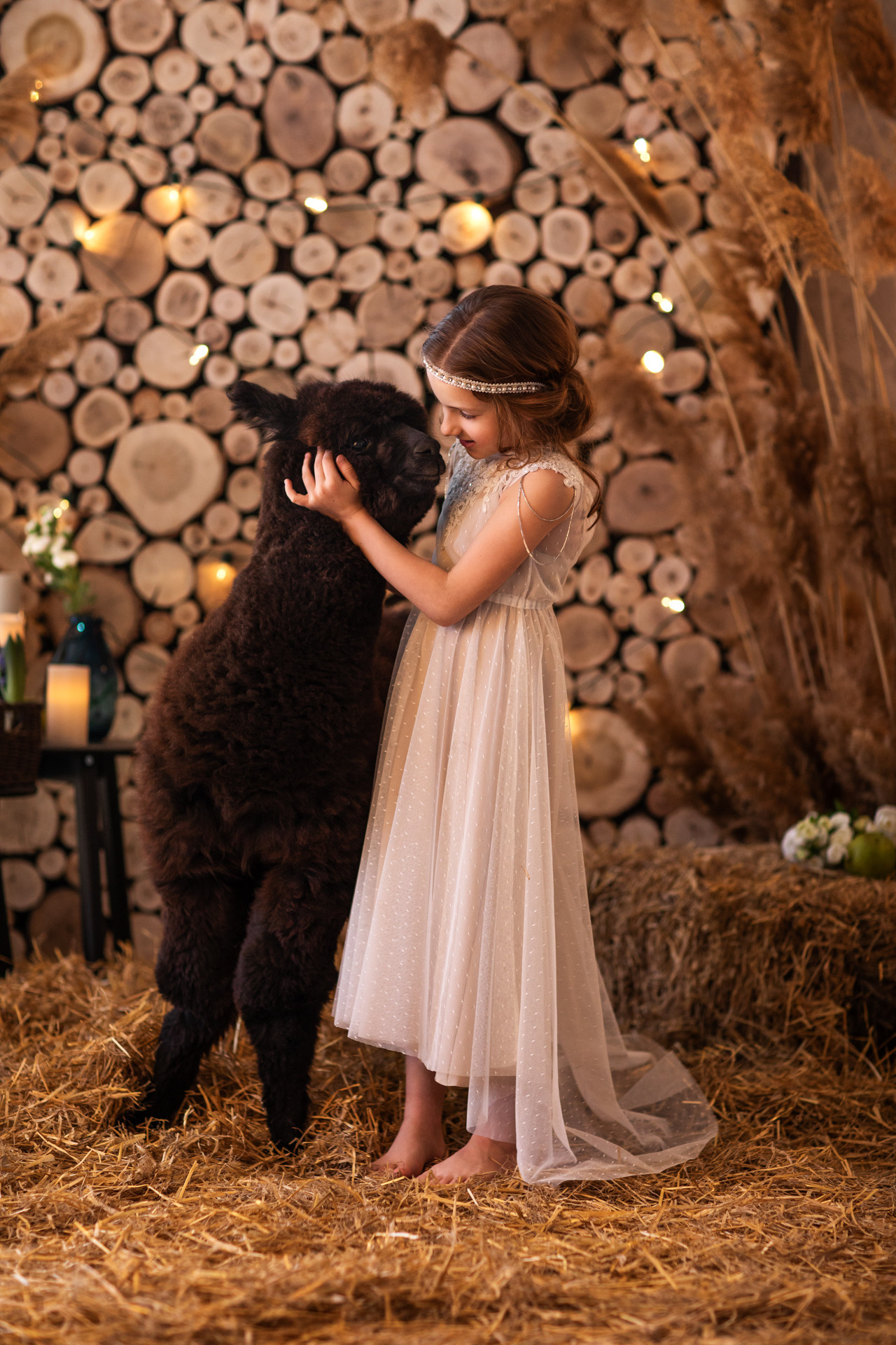 С альпакой. Семейный фотограф в Донецке Елена Горбатенко