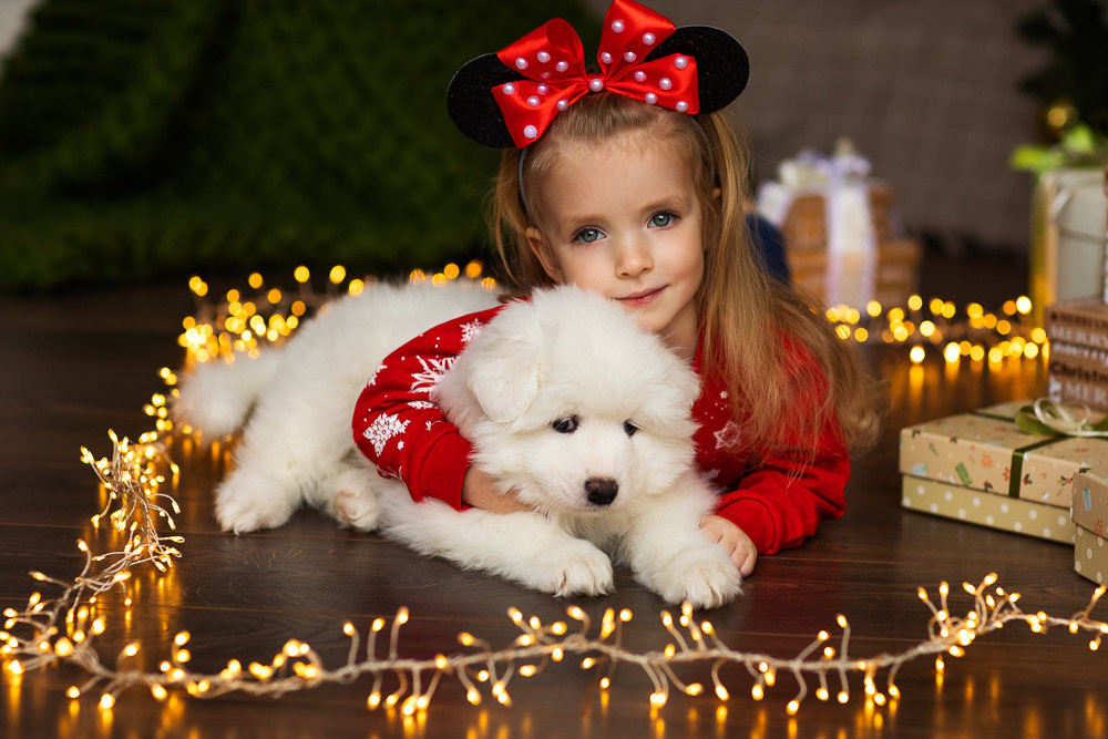 С щенками. Семейный фотограф в Донецке Елена Горбатенко