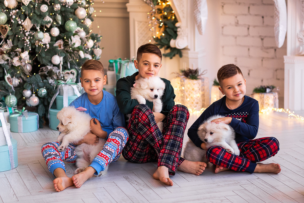 С щенками. Семейный фотограф в Донецке Елена Горбатенко