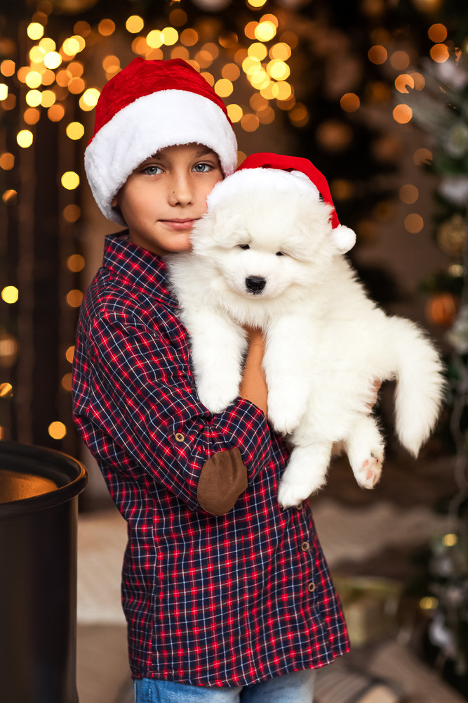 С щенками. Семейный фотограф в Донецке Елена Горбатенко