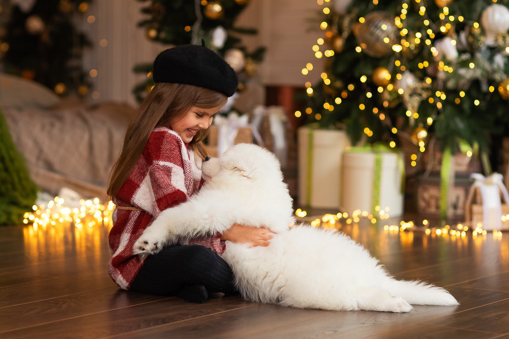 С щенками. Семейный фотограф в Донецке Елена Горбатенко