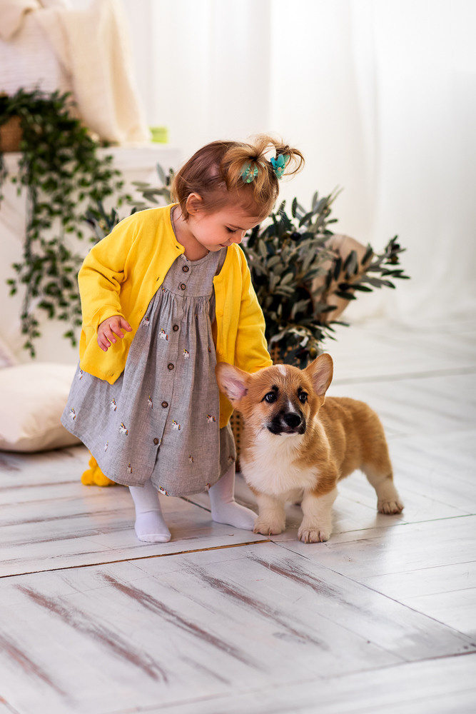 С щенками. Семейный фотограф в Донецке Елена Горбатенко