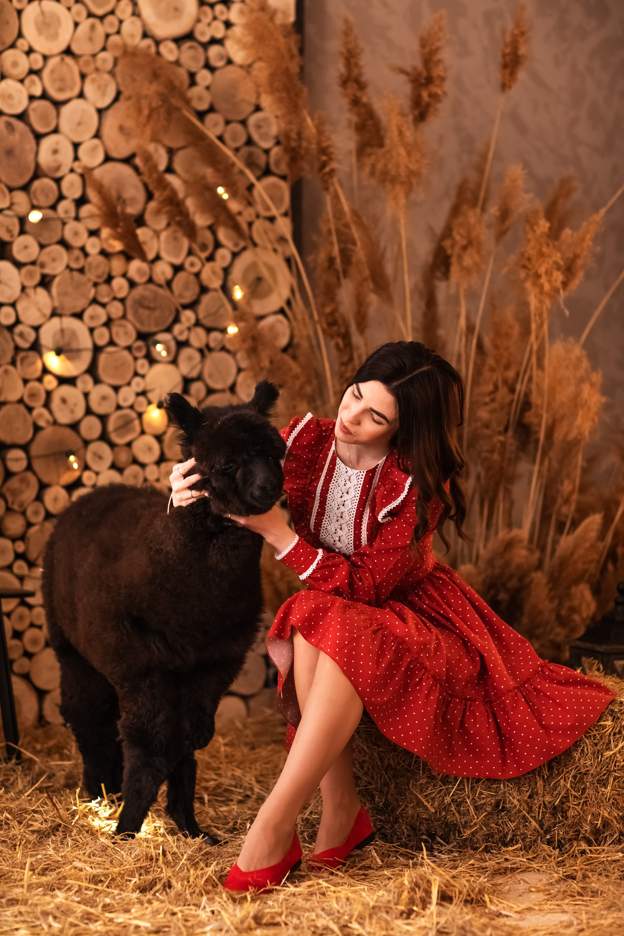 С альпакой. Семейный фотограф в Донецке Елена Горбатенко